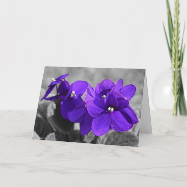 Violet, card (Front)