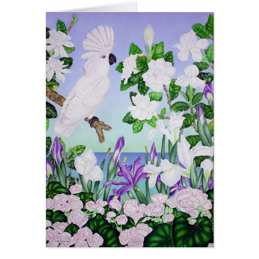 Violet Cockatoo Cards (Front)