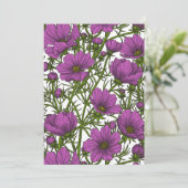 Violet cosmos flowers (Standing Front)