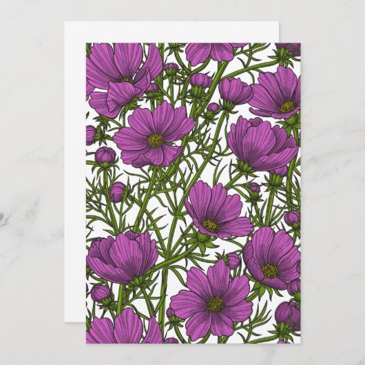 Violet cosmos flowers (Front/Back)