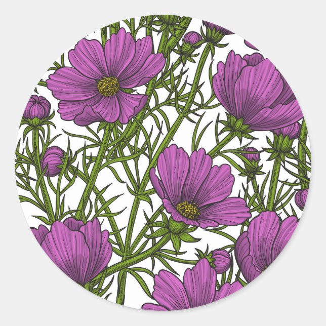 Violet cosmos flowers classic round sticker (Front)