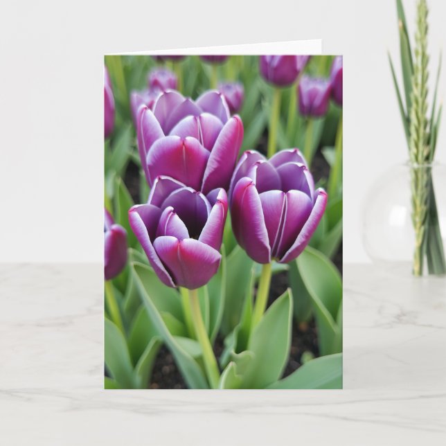 Violet Edge Mothers Day Card (Front)