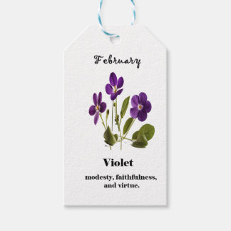 violet february birth month flower gift tag