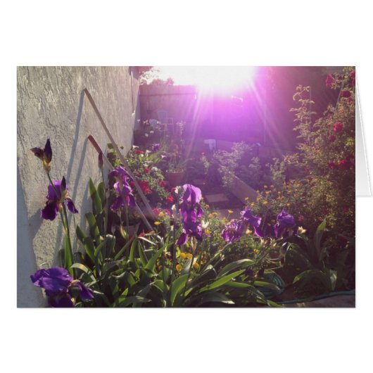Violet Fire by Harmony Cards (Front Horizontal)