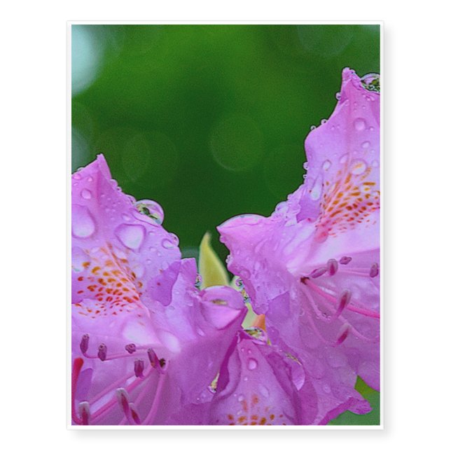 Violet Flower Temporary Tattoos (Front)