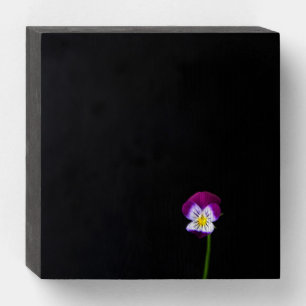 Violet Flower wbs6x6a Wooden Box Sign