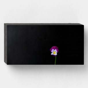 Violet Flower wbs8x4cnm Wooden Box Sign