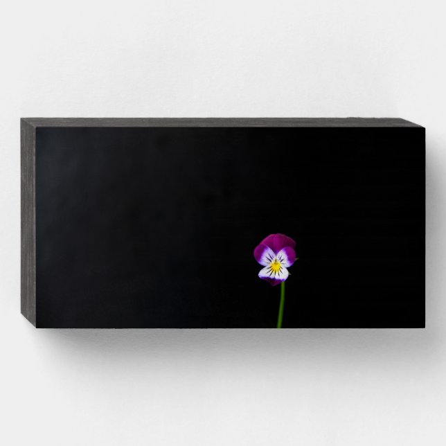 Violet Flower wbs8x4cnm Wooden Box Sign (Front Horizontal)