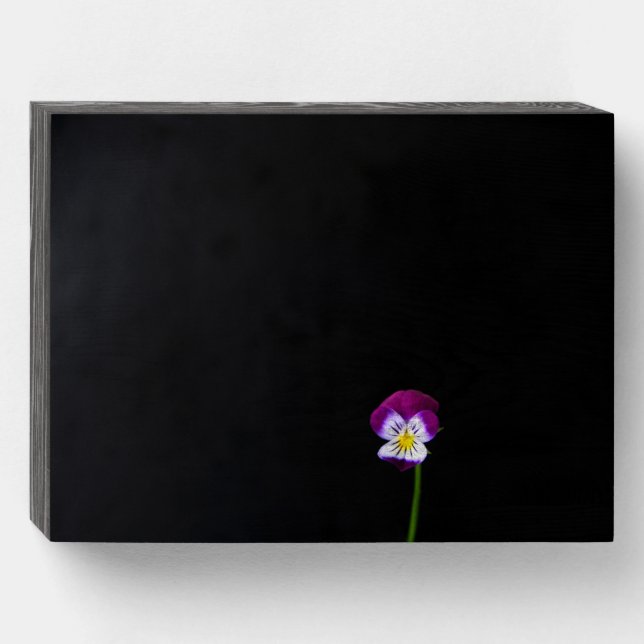 Violet Flower wbs8x6cnm Wooden Box Sign (Front Horizontal)