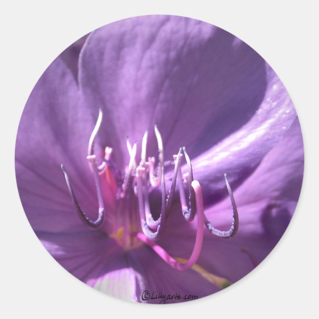 Violet Flower Wedding Envelope Seal (Front)