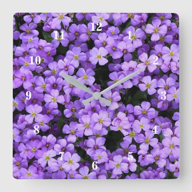 Violet Flowers - Spring Square Wall Clock (Front)