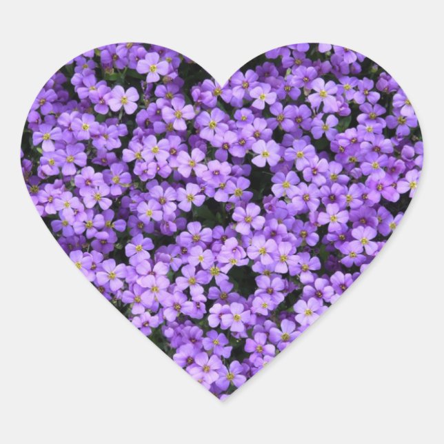 Violet Flowers Sticker Violets Spring (Front)