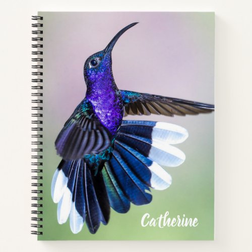 Violet Hummingbird with Beautiful Feathers Custom Notebook