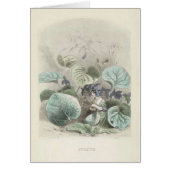 Violet Les Fleurs (Front)