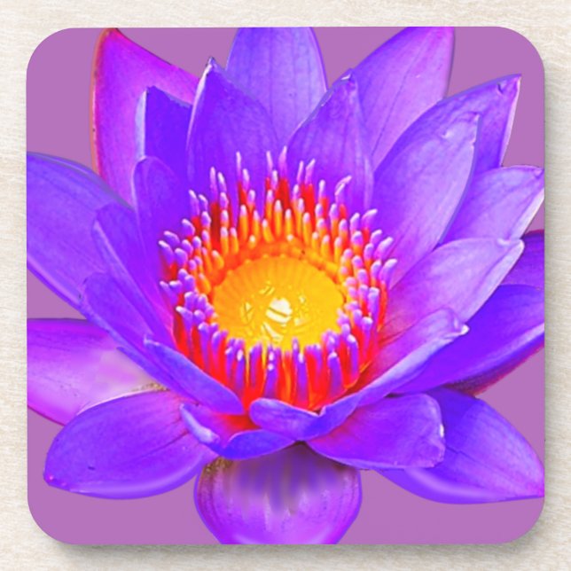 Violet Lotus Flower Beverage Coaster (Front)
