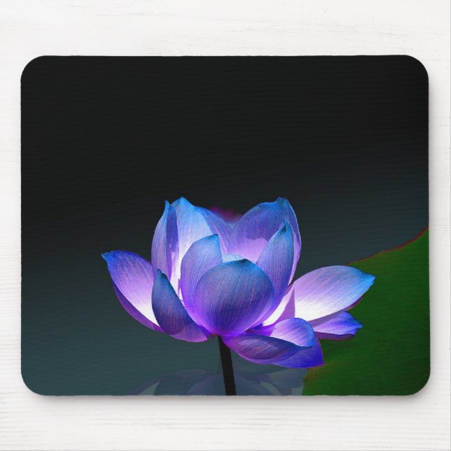Violet Lotus in full bloom, mousepad (Front)