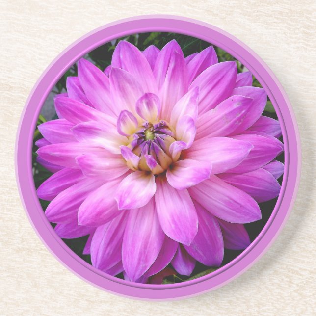 Violet/Purple Dahlia Drink Coaster (Front)