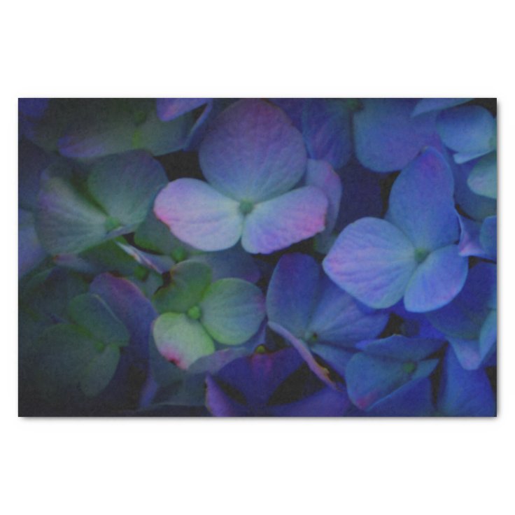 Violet purple Hydrangeas Tissue Paper Zazzle