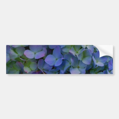 Violet purple pink blue hydrangeas flower floral bumper sticker