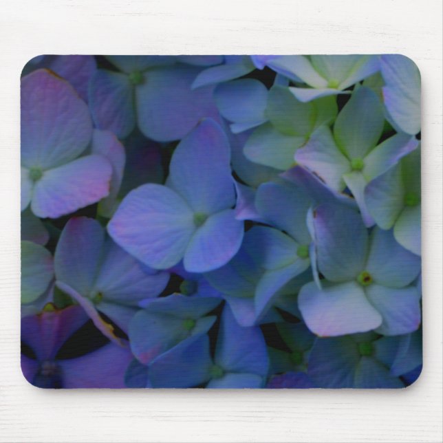 Violet purple pink blue hydrangeas flower floral mouse pad (Front)
