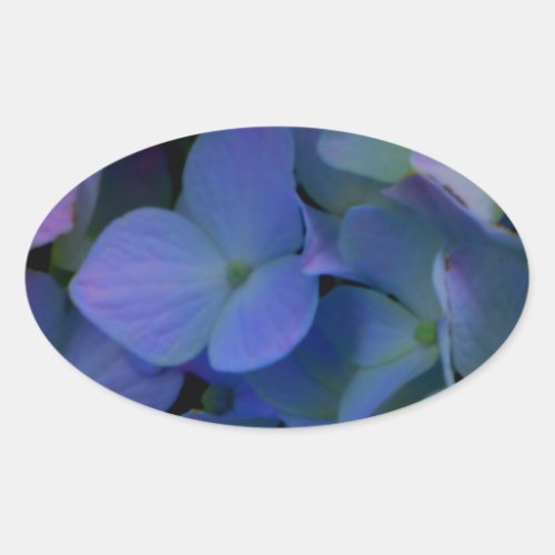 Violet purple pink blue hydrangeas flower floral oval sticker