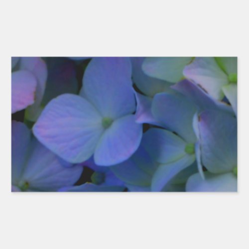 Violet purple pink blue hydrangeas flower floral rectangular sticker