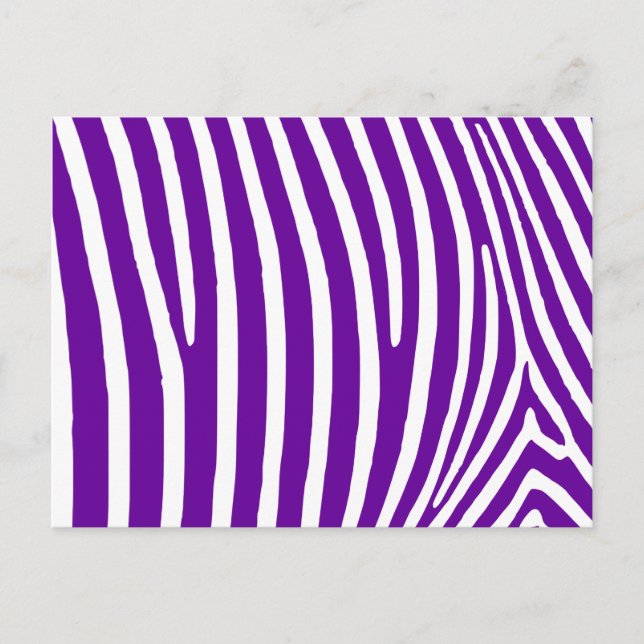 Violet Purple Zebra Stripes Postcard (Front)
