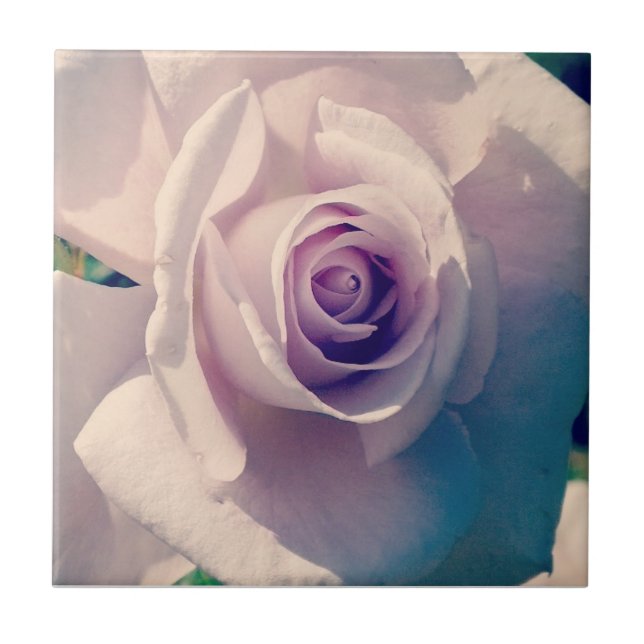 Violet Rose Ceramic Tile (Front)