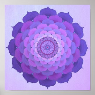 Violet rose mandala poster