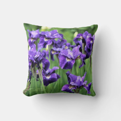 Violet Siberian Iris Ceasars Brother Throw Pillow