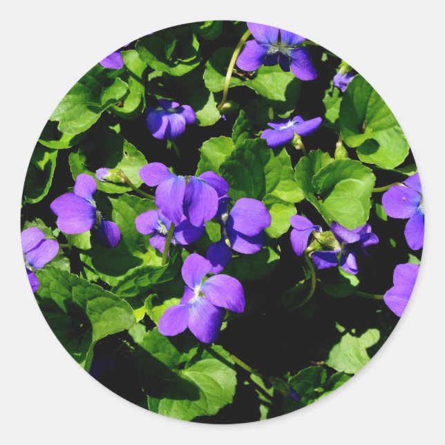 Violet Stickers (Front)