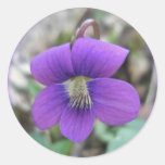 Violet Wildflower Coordinating Items Classic Round Sticker
