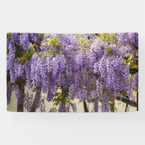 Violet Wisteria Flowers Banner