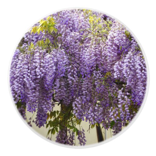 Violet Wisteria Flowers Ceramic Knob