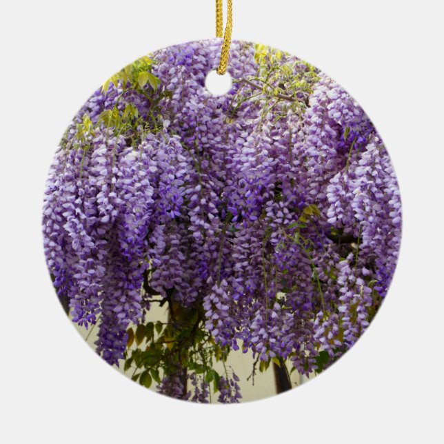 Violet Wisteria Flowers Ceramic Ornament (Front)