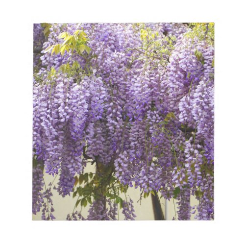 Violet Wisteria Flowers Notepad