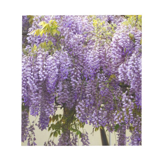 Violet Wisteria Flowers Notepad (Front)