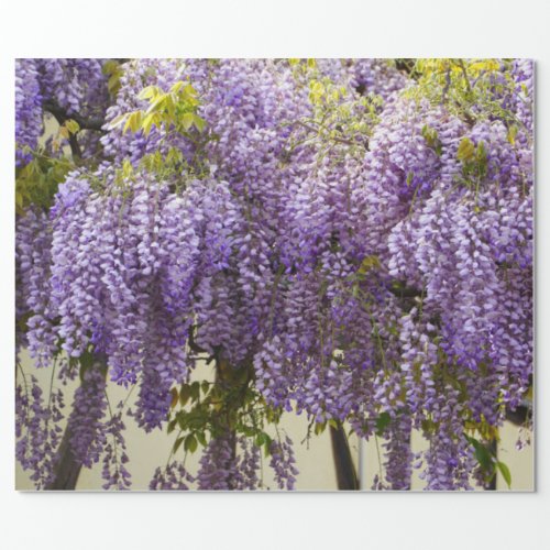 Violet Wisteria Wrapping Paper