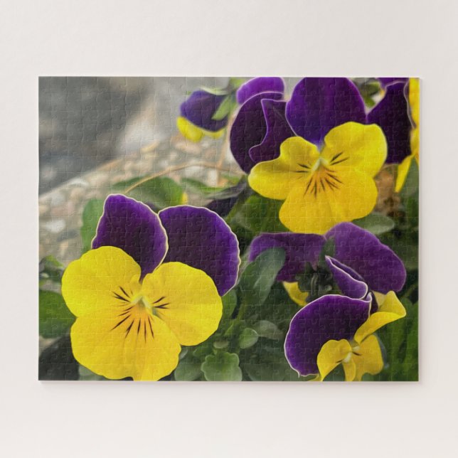 Violet yellow pansies jigsaw puzzle (Horizontal)
