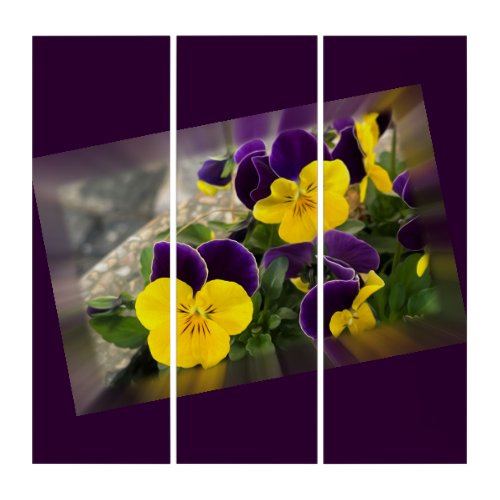 Violet yellow pansies triptych