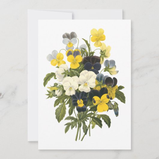 Violets and Pansy Flowers Botanical Art (Front)