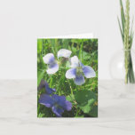 Violets Note Card at Zazzle