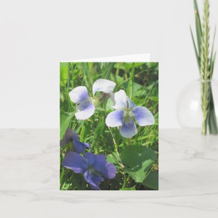 Violets Note Card