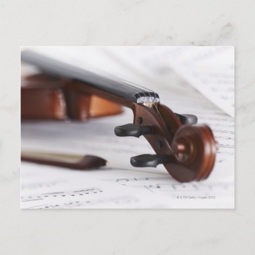 Violin Bow Postcard