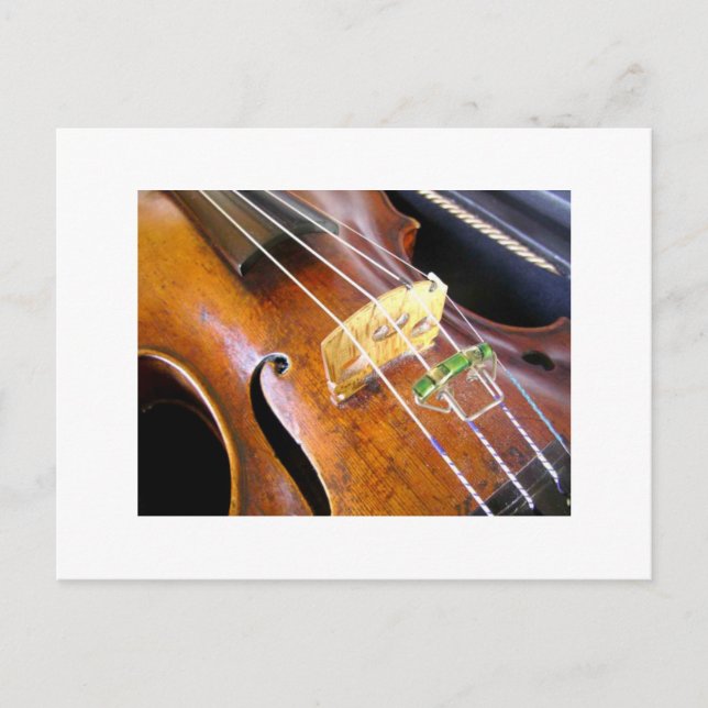 Violin Closeup Postcard (Front)