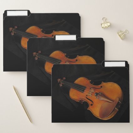 Violin Musical Instrument File Folder Set