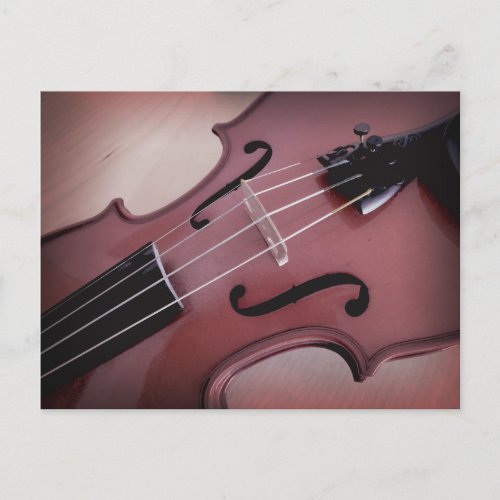 Violin musical string instrument photo postcard