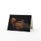 Violin Scroll