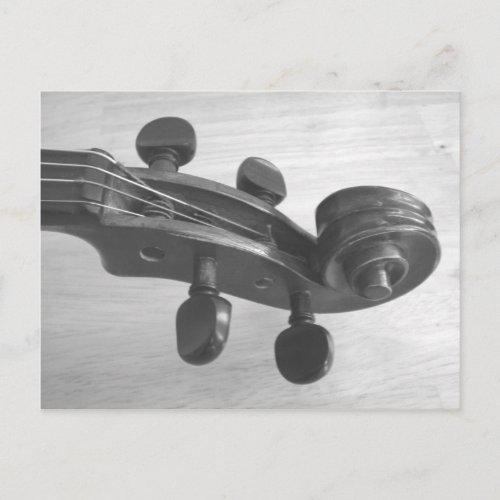 Violin scroll music teacher or violinist postcards