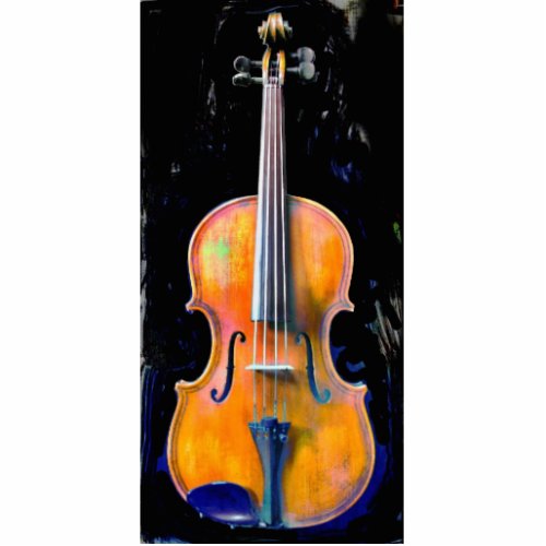 Violin  Viola Photo Sculpture